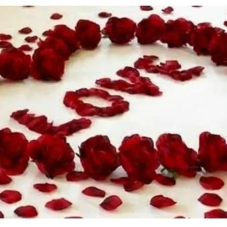 Casa Victorio トリノ